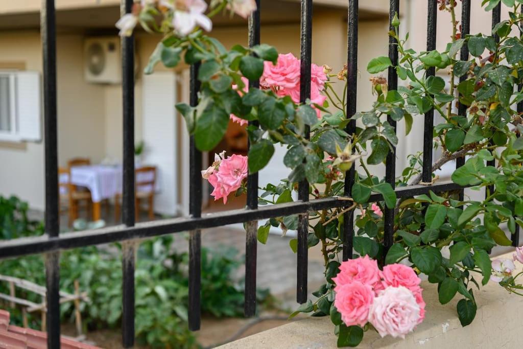 Balo Garden View Airport Flat Daire Nea Alikarnassos Dış mekan fotoğraf